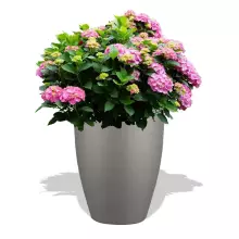 Donica z włókna szklanego D982C szary mat