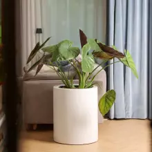 Donica z włókna szklanego D901N biały połysk