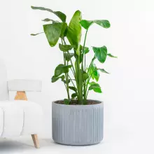 Donica z włókna szklanego LEO37 szary beton