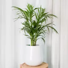 Donica z włókna szklanego SQ30 biały mat