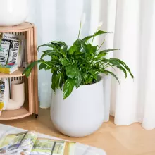 Donica z włókna szklanego SQ40 biały mat