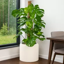 Donica z włókna szklanego AMBIENTE 35 biały beton z wkładem