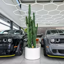 Donica z włókna szklanego D901C biały połysk