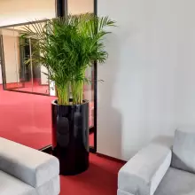 Donica z włókna szklanego D901H czarny połysk