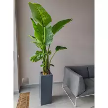 Donica z włókna szklanego D973B antracyt mat