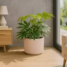 Donica z włókna szklanego LEO29 różowy mat