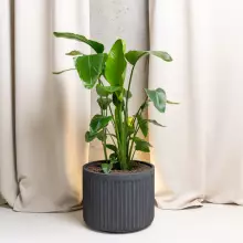 Donica z włókna szklanego LEO37 grafitowy beton