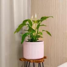 Donica z włókna szklanego LEO29 różowy mat