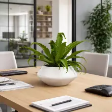 Donica z włókna szklanego PAUNCH 17 biały mat