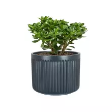 Donica z włókna szklanego LEO24 antracyt mat