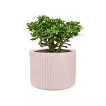 Donica z włókna szklanego LEO24 różowy mat