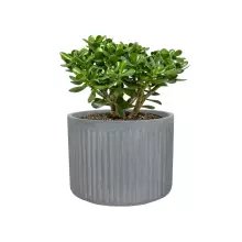 Donica z włókna szklanego LEO24 szary beton