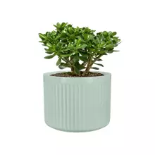 Donica z włókna szklanego LEO24 szałwiowy mat