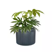 Donica z włókna szklanego LEO29 antracyt mat