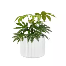 Donica z włókna szklanego LEO29 biały mat