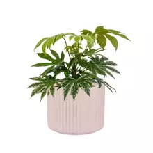 Donica z włókna szklanego LEO29 różowy mat