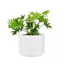 Donica z włókna szklanego LEO33 biały mat