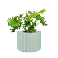 Donica z włókna szklanego LEO33 szałwiowy mat