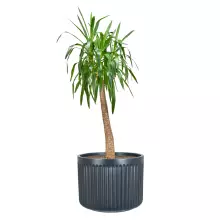 Donica z włókna szklanego LEO37 antracyt mat