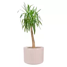 Donica z włókna szklanego LEO37 różowy mat