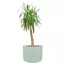 Donica z włókna szklanego LEO37 szałwiowy mat