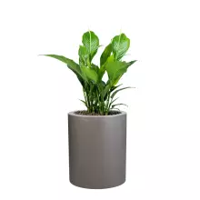 Donica z włókna szklanego D901N szary mat