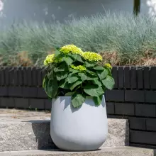 Donica z włókna szklanego SQ30 szary beton