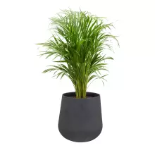 Donica z włókna szklanego SQ40 grafitowy beton