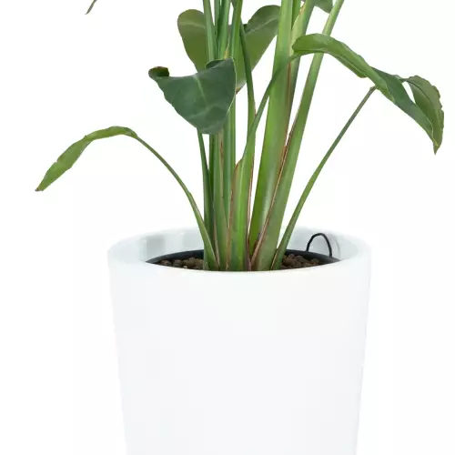 Mniejsze rośliny sadzimy w wyjmowanej wewnętrznej donicy