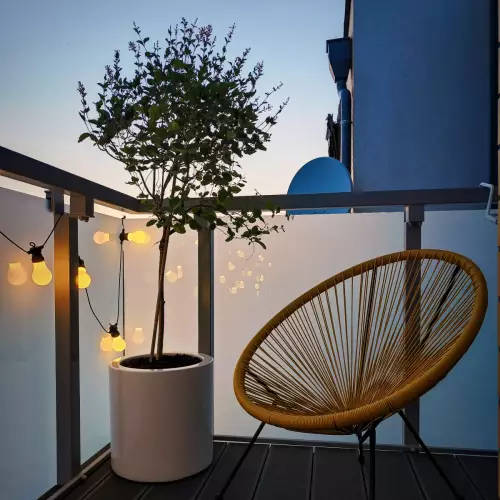 Bez lilak w białej donicy ZADORA Premium D901B