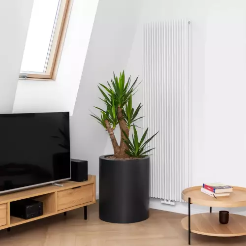 Juka w antracytowej donicy D901N