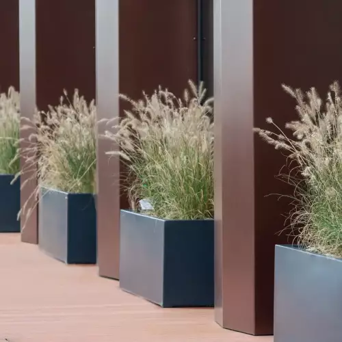 Trawa Rozplenica japońska w antracytowej donicy D913B na tarasie