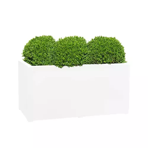 Kule bukszpanowe w donicy D913C biały połysk