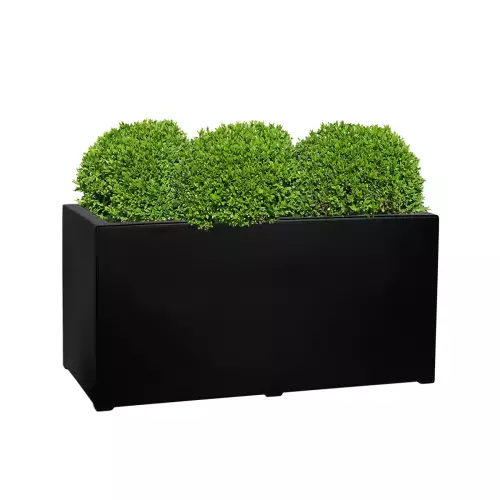 Kule bukszpanów w donicy D913C czarny mat