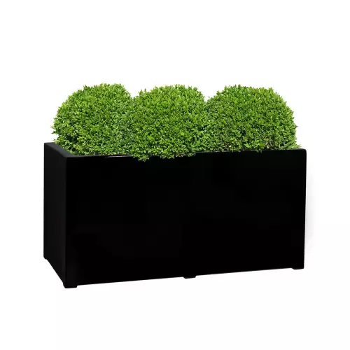 Kule bukszpanów w donicy D913C czarny połysk