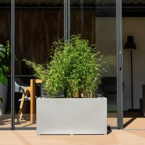 Bambusy w szarej donicy D913C na tarasie