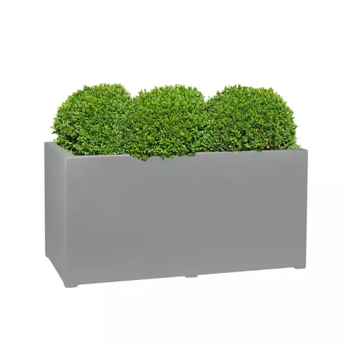 Kule bukszpanowe w szarej donicy D913C