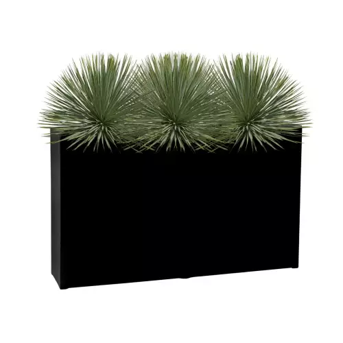 Juka rostrata w donicy ZADORA Premium D972G czarny połysk