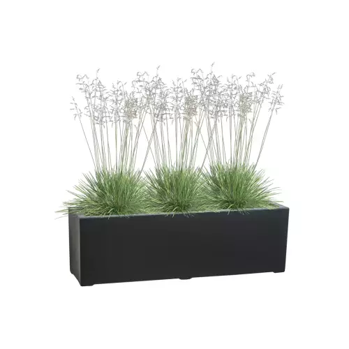 Trawy w antracytowej donicy D972LB