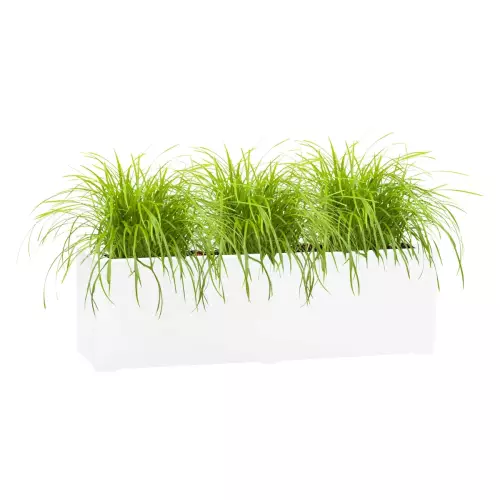 Trawy w białej matowej donicy D972LB