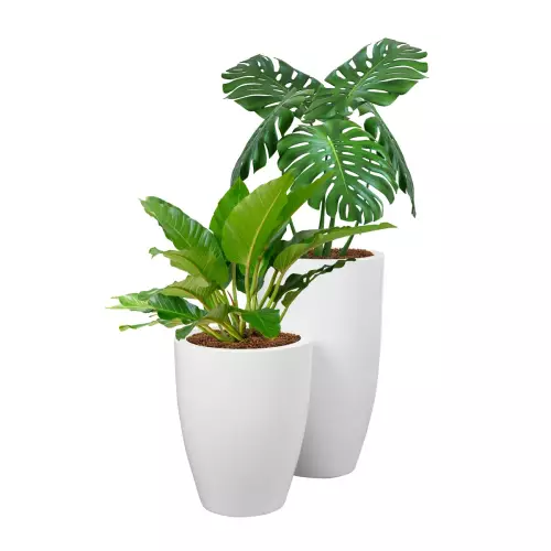 Rośliny w białych donicach D982C i D982F