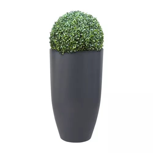 Kula bukszpanu w antracytowej donicy D982F