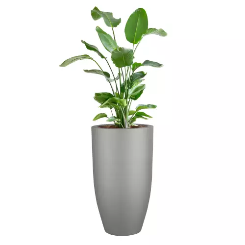 Donica D982F z posadzoną wewnątrz rośliną