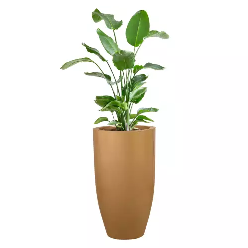 Donica D982F z posadzoną wewnątrz rośliną