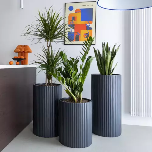 Zestaw trzech antracytowych donic ZADORA Classic RC 50, 65 i 80 cm