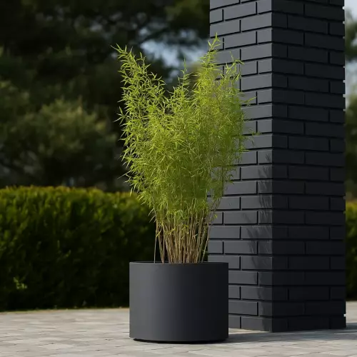 Bambus w donicy D101CA w kolorze antracyt mat