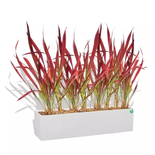 Biała donica D109A z trawą ozdobną