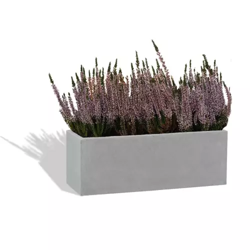 Szaro betonowa donica D109AS z wrzosami