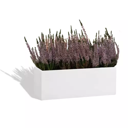 Biała donica D109AS z wrzosami