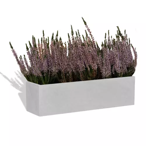 Szaro betonowa donica D109S z wrzosami